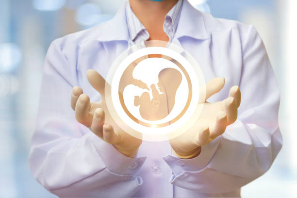 In the doctor’s hands, the icon of the embryo on blurred background.